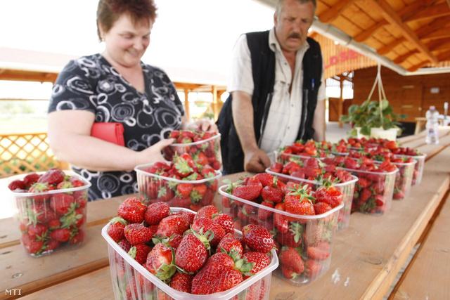 egy férfi és egy nő dobozos epret árul