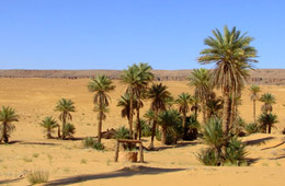 tunezia-oazis