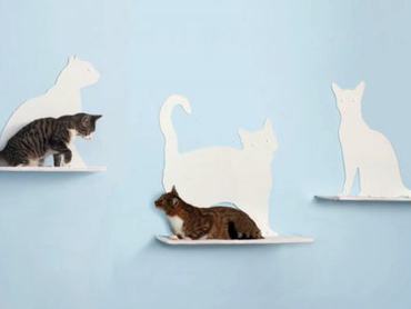 Macskák játszanak a falra szerelt macska alakú polcokon