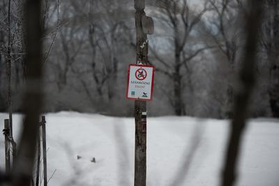 havazás hó erdő szánó tilalom tábla fa