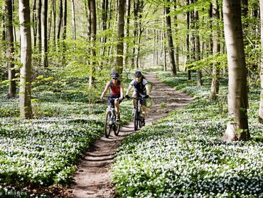 erdőben biciklizó pár, körülöttük virágok