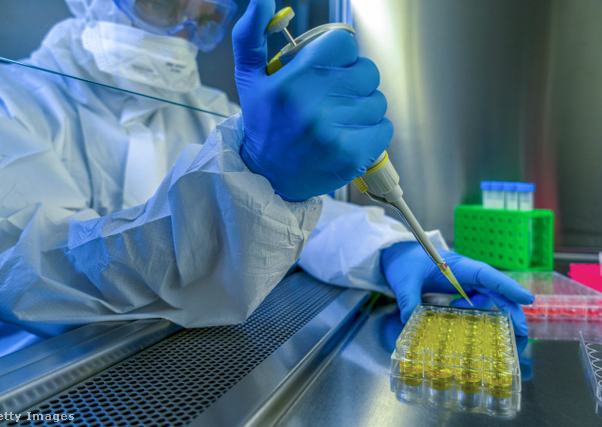 Járványügyi szakember mintákat vizsgál