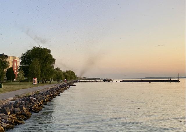 balaton víz tó fa sétány