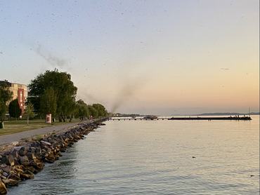 balaton víz tó fa sétány