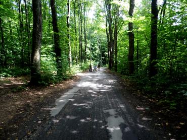 erdei út túrázók