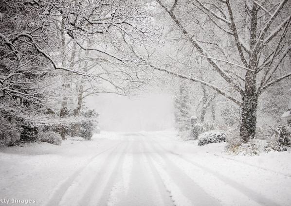 havas út fák autónyomok