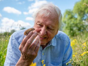 Sir David Attenborough egy mezei egérrel
