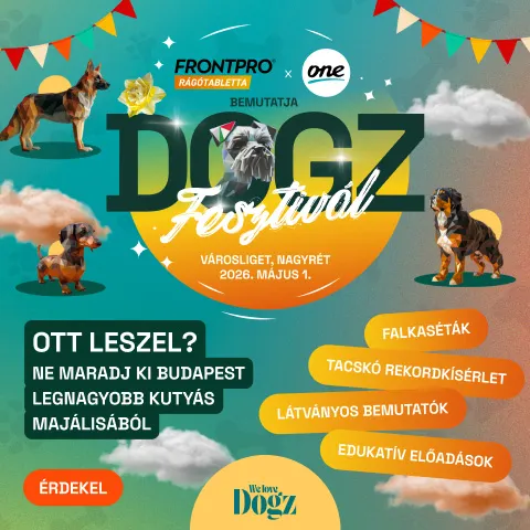 Dogz fesztivál