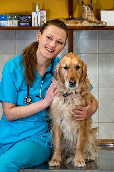 dr. Piller Pálma állatorvos egy kutyával