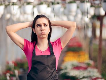 Stressed business owner having a bad season in agricultural field of work