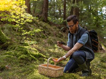 A man in a forest taking photos of mushrooms he has picked.