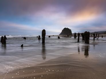Egy gyönyörű felvétel a Neskowin Ghost Forest falu partjáról Oregonban