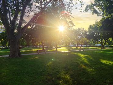 Napsütéses kép a Városligetben