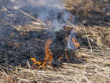 Az aszály miatt tűz üt ki