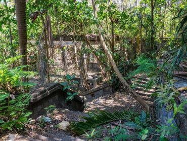 Taman Festival Bali, régi vidámpark, melyet visszafoglal a természet