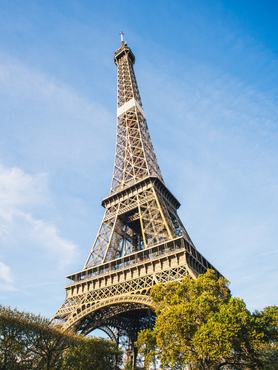 France, Paris, low angle view of the Eiffel Tower seen through summer trees
