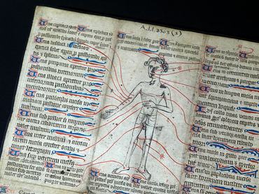 A fragment from a 14th century manuscript showing 'Vein Man' which illustrates the veins' locations and labels specify which ailments can be alleviated by bleeding from them, on display during the press preview of Curious Cures: Medicine in the Medieval World exhibition at the Cambridge University Library. The exhibition will display dozens of centuries-old manuscripts containing myriad unusual ingredients and medical remedies - taking in everything from ritual healing, herbal recipes, stargazing and bloodletting to drastic surgery. Picture date: Thursday March 27, 2025. (Photo by Joe Giddens/PA Images via Getty Images)