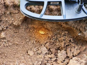 fémdetektorral találnak egy aranyérmét