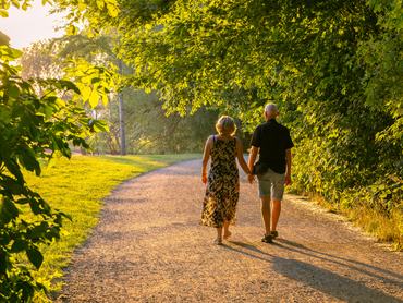 Senior couple enjoying an evening stroll, holding hands on a park path, surrounded by vibrant green trees in the warm, golden light of sunset, symbolizing enduring love and togetherness