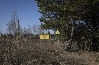 CHERNOBYL, UKRAINE - MARCH 16: A general view shows the current state of the 30-kilometer Chernobyl Exclusion Zone. Established in the aftermath of the 1986 nuclear disaster at the Chernobyl Nuclear Power Plant, the 2,600-square-kilometer restricted area remains under strict state control. Forty years after the accident, the zone encompasses abandoned urban and rural settlements, the New Safe Confinement (NSC) structure, and the Chernobyl Biosphere Reserve. Since 2022, the territory has been designated as a high-security area due to its proximity to the border and the ongoing Russian-Ukrainian war on March 16, 2026 in Chernobyl, Ukraine. (Photo by Danylo Dubchak/Frontliner/Getty Images)