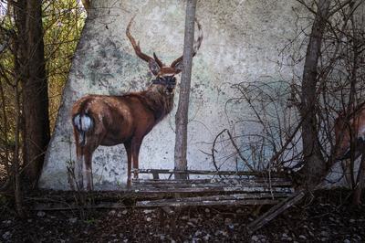 A mural featuring a deer is on the wall of a dilapidated building in Prypiat, a city abandoned due to the Chornobyl disaster, Kyiv region, Ukraine, on April 14, 2026. April 26, 2026, marks the 40th anniversary of the explosion of the fourth reactor at the Chornobyl Nuclear Power Plant, which occurred on April 26, 1986. The accident remains one of the most significant incidents in the history of nuclear energy. (Photo by Kyrylo Chubotin/Ukrinform/NurPhoto via Getty Images)