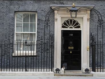 Larry the Cat sits on the doorstep of number 10 Downing Street, Westminster, central London. Picture date: Monday June 22, 2026. (Photo by Andrew Matthews/PA Images via Getty Images)