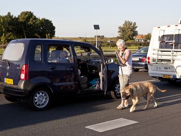 kutát sétáltat egy nő, miközben a kocsijával valamilyen sorban várakozik