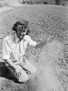 Farmer Tony Mence with the dried up problems he faces on his land at Pershore during the summer heatwave and drought of 1976. 20th August 1976. (Photo by Birmingham Post and Mail Archive/Mirrorpix/Mirrorpix via Getty Images)