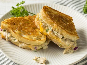 Homemade Toasted Tuna Melt Sandwich Ready to Eat