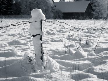 Barbed wire fence with snow - black and white photo