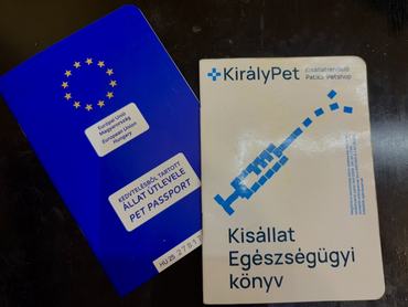 kisállat útlevél és oltási könyv egy asztalon