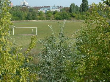 A poznani Edmund Szyc Stadion maradványai.