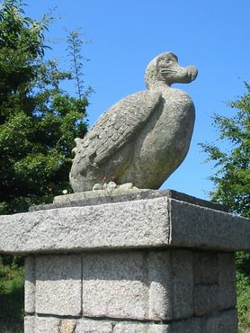 dodo madár szobor