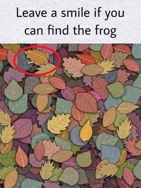 Képrejtvény megoldás