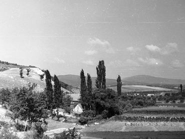 Magyar falu látképe nyáron, 1958-ban.