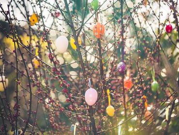 Húsvéti tojásfa a napsütésben