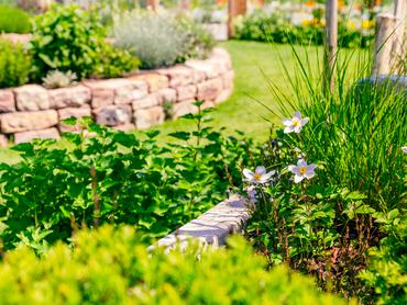 Virágágyás zöld pázsittal és téglából készült fűszernövény-spirállal egy kis kertben