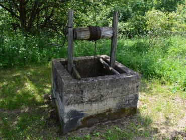 Egy régi kút, amelyet zöld növényzet vesz körül