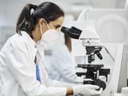 Egy nő belenéz a mikroszkópba a laboratóriumban