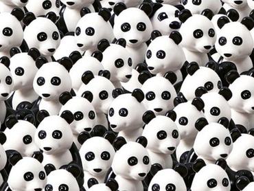 Sok-sok panda között elbújt egy kutyus.