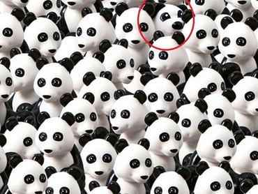 Sok-sok panda között elbújt egy kutyus.