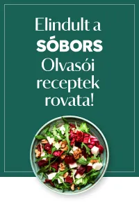 Sóbors receptek
