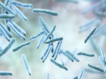 Tuberkulózis baktérium számítógépes ábrázolása